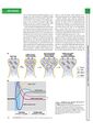Thumbnail for version as of 06:18, 11 April 2026