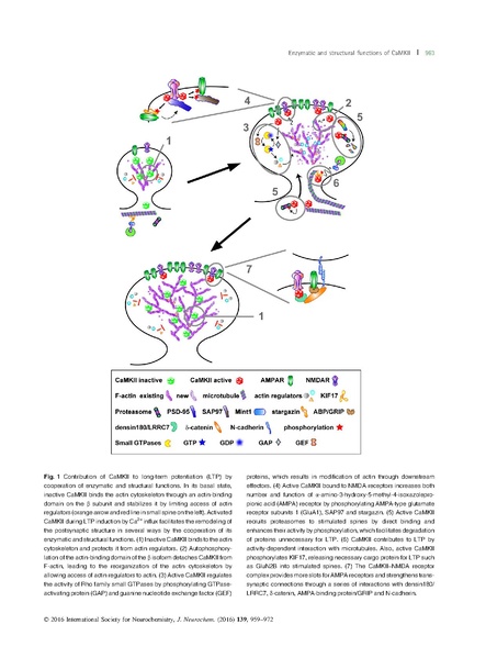 File:20250323102804!Kim J Neurochem.pdf
