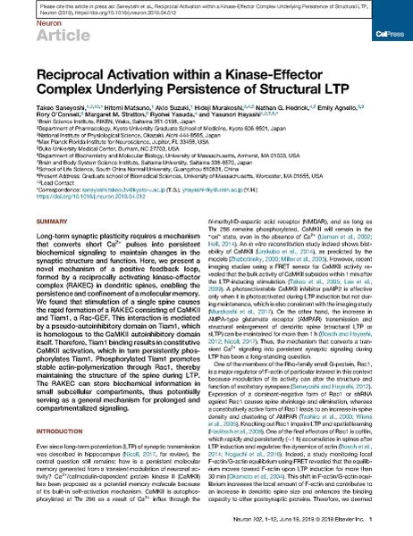 File:Page2-922px-Saneyoshi Neuron.pdf.jpg