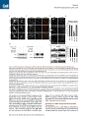 Thumbnail for version as of 06:18, 11 April 2026