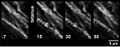 Thumbnail for version as of 06:17, 11 April 2026