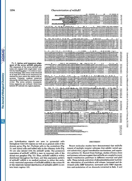File:Page4-874px-Okamoto J Biol Chem.pdf.jpg