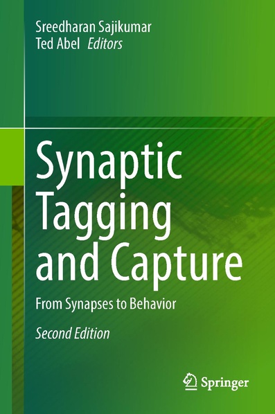 File:Hayashi STC Bookchapter 2024.pdf