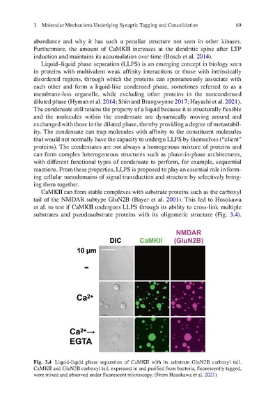 File:Hayashi STC Bookchapter 2024.pdf