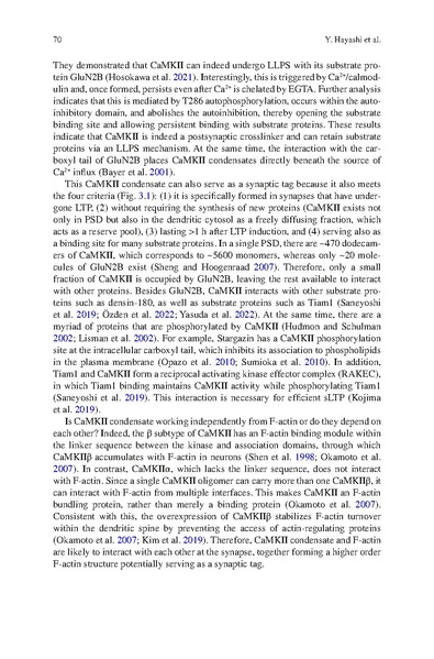 File:Hayashi STC Bookchapter 2024.pdf