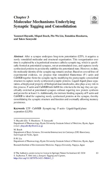 File:Hayashi STC Bookchapter 2024.pdf