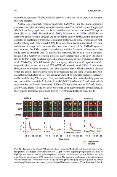 File:Hayashi STC Bookchapter 2024.pdf