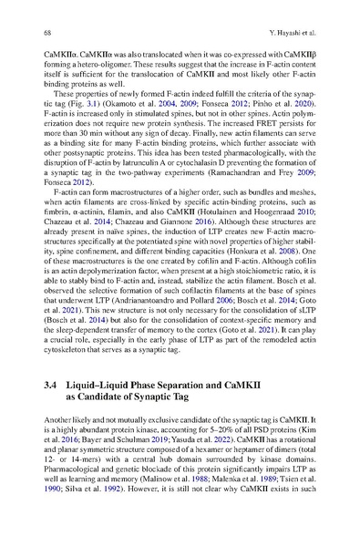 File:Hayashi STC Bookchapter 2024.pdf