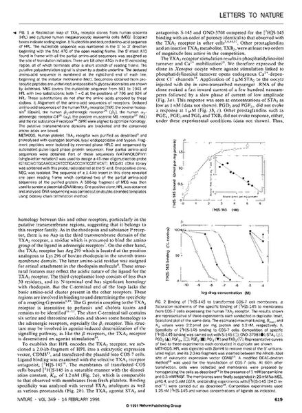 File:Page3-658px-Hirata Nature.pdf.jpg
