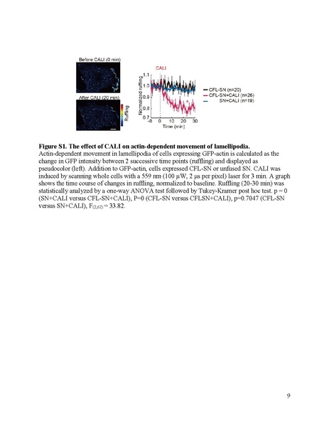 File:20250323102446!Goto Science 2021.pdf