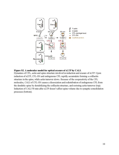 File:20250323102446!Goto Science 2021.pdf