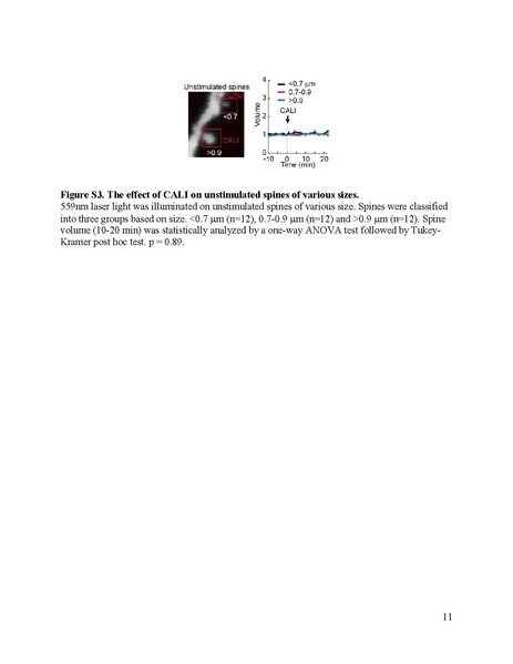 File:20250323102446!Goto Science 2021.pdf
