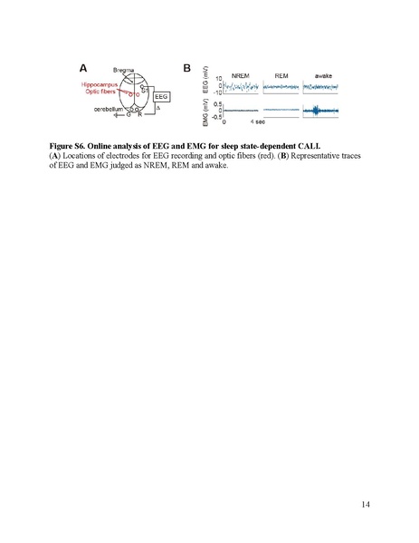 File:20250323102446!Goto Science 2021.pdf