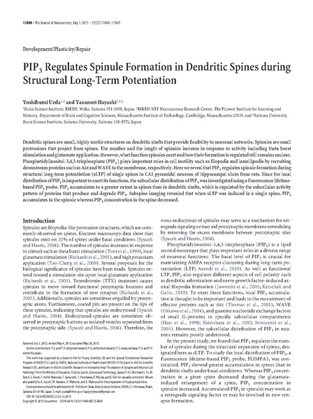 File:20250323102828!Ueda J Neurosci.pdf
