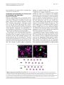Thumbnail for version as of 06:17, 11 April 2026