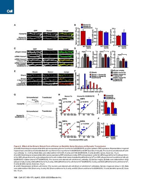 File:Page10-692px-Hayashi cell.pdf.jpg