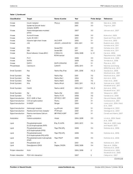 File:Page4-916px-Ueda Front Neural Circuits.pdf.jpg