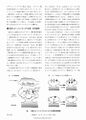 Thumbnail for version as of 06:18, 11 April 2026