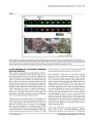Thumbnail for version as of 06:18, 11 April 2026