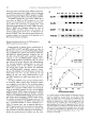 Thumbnail for version as of 06:17, 11 April 2026