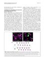 Thumbnail for version as of 06:17, 11 April 2026