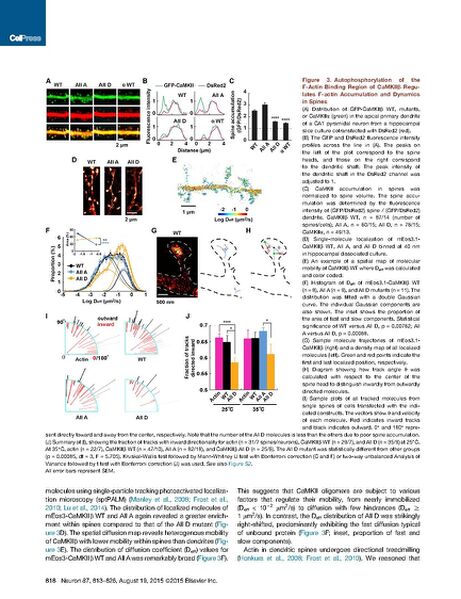 File:Page7-692px-Kim Neuron.pdf.jpg