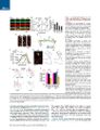 Thumbnail for version as of 06:17, 11 April 2026