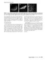 Thumbnail for version as of 06:17, 11 April 2026