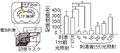 Thumbnail for version as of 06:17, 11 April 2026