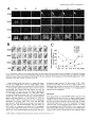Thumbnail for version as of 06:18, 11 April 2026