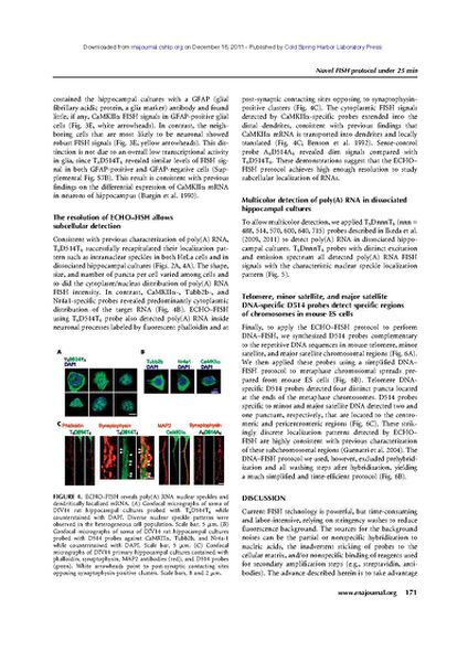 File:Page6-635px-Wang rna.pdf.jpg