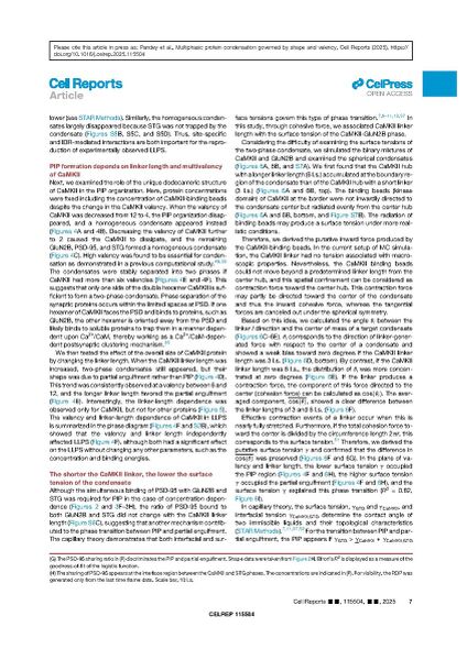 File:Page7-846px-Vikas Cell Rep 2025.pdf.jpg
