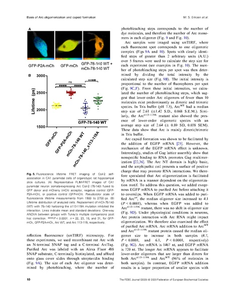 File:20250323102506!Eriksen FEBS J 2020.pdf