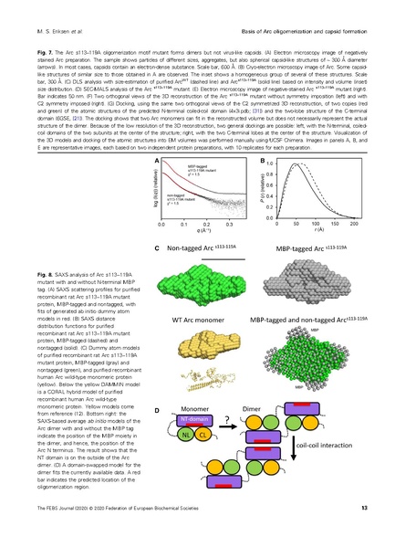 File:20250323102506!Eriksen FEBS J 2020.pdf