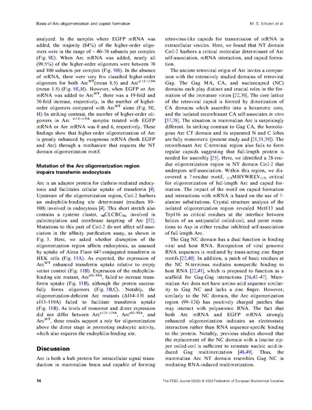 File:20250323102506!Eriksen FEBS J 2020.pdf