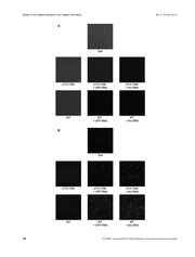 next page →
