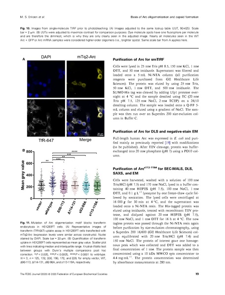 File:20250323102506!Eriksen FEBS J 2020.pdf