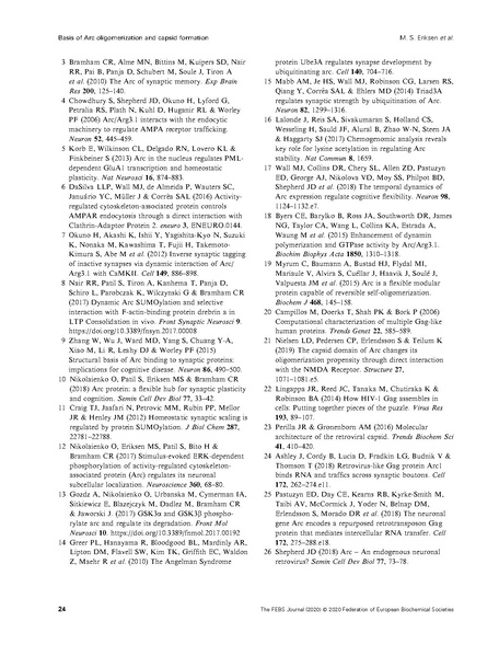 File:20250323102506!Eriksen FEBS J 2020.pdf