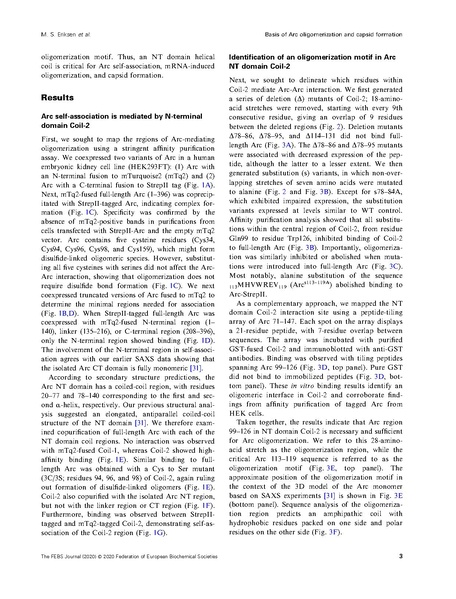 File:20250323102506!Eriksen FEBS J 2020.pdf