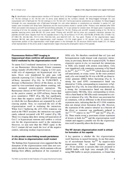 File:20250323102506!Eriksen FEBS J 2020.pdf