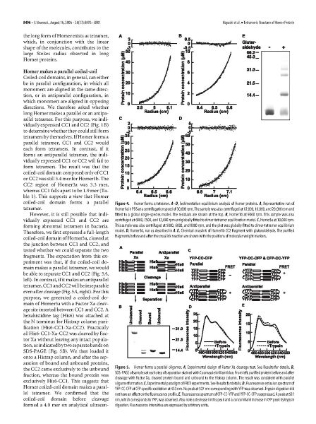 File:Page5-896px-Hayashi J Neurosci 2006.pdf.jpg