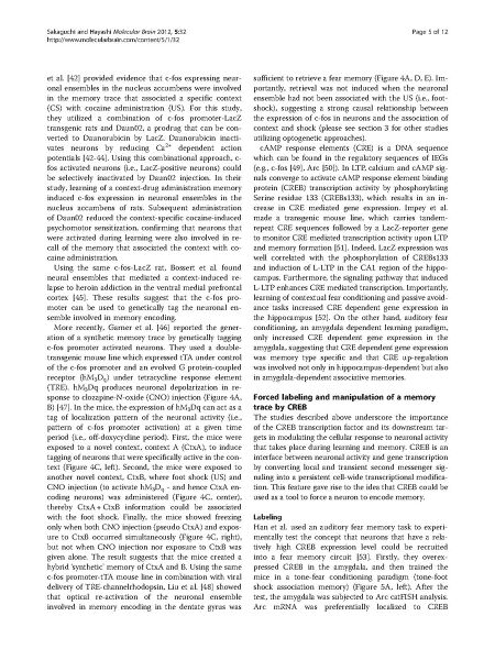 File:Page5-900px-Sakaguchi Mol Brain.pdf.jpg