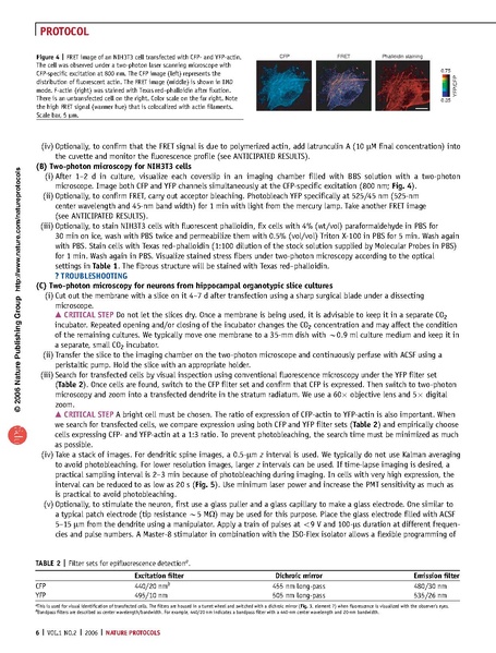 File:20250323102934!Okamoto Nat Protoc.pdf