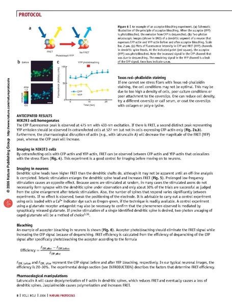 File:20250323102934!Okamoto Nat Protoc.pdf