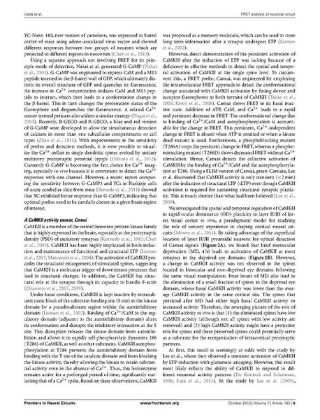 File:Page9-687px-Ueda Front Neural Circuits.pdf.jpg
