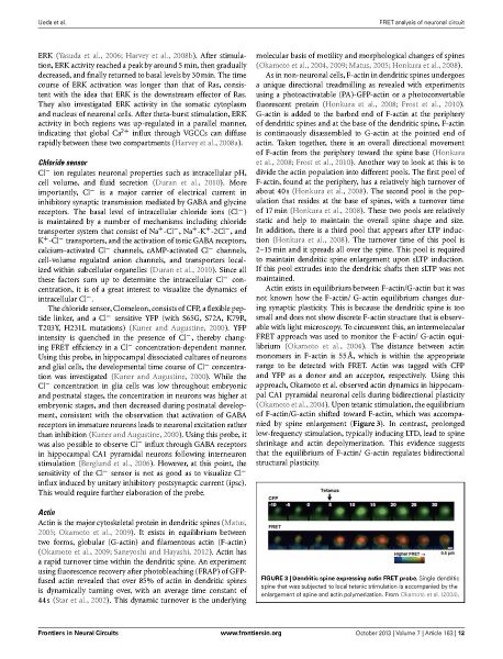 File:Page12-916px-Ueda Front Neural Circuits.pdf.jpg