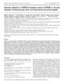 Thumbnail for version as of 06:18, 11 April 2026