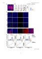 Thumbnail for version as of 06:17, 11 April 2026
