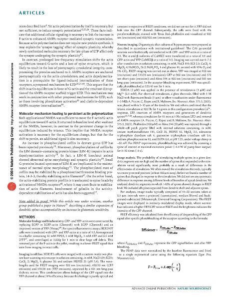 File:Page8-926px-Okamoto Nat Neurosci.pdf.jpg