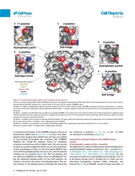 File:20250323102742!Özden Cell Rep 2022.pdf